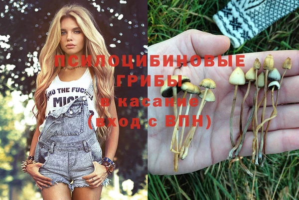 гашишное масло Липки
