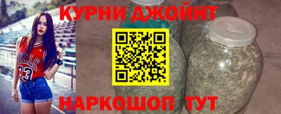 мяу мяу мука Гатчина