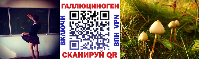 МЕГА сайт  продажа наркотиков  Советский  Галлюциногенные грибы GOLDEN TEACHER 