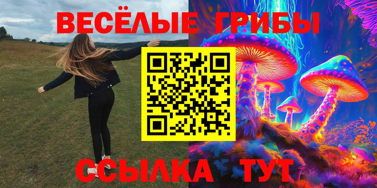 Псилоцибиновые грибы MAGIC MUSHROOMS  Галлюциногенные грибы Psilocybe  Советский 